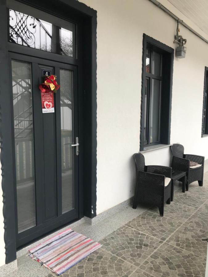 Apartament Delia 브라쇼브 외부 사진